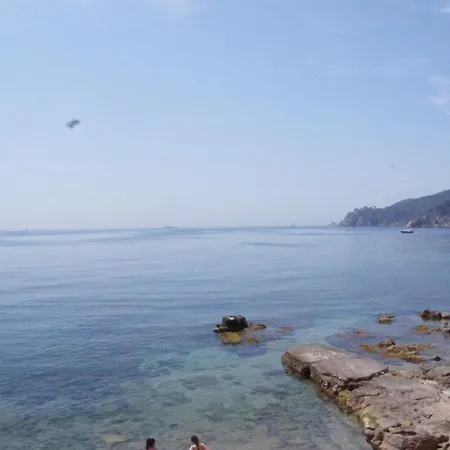 公寓 Playa Canadell Mar G Primera Linea De Mar Con Terraza 卡莱利亚德帕拉弗鲁赫尔