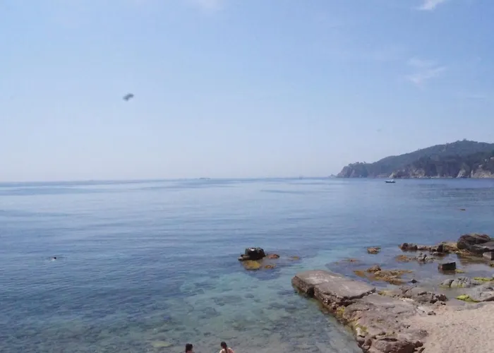 Apartament Playa Canadell Mar G Primera Linea De Mar Con Terraza - Wehost Costa Brava Calella De Palafrugell