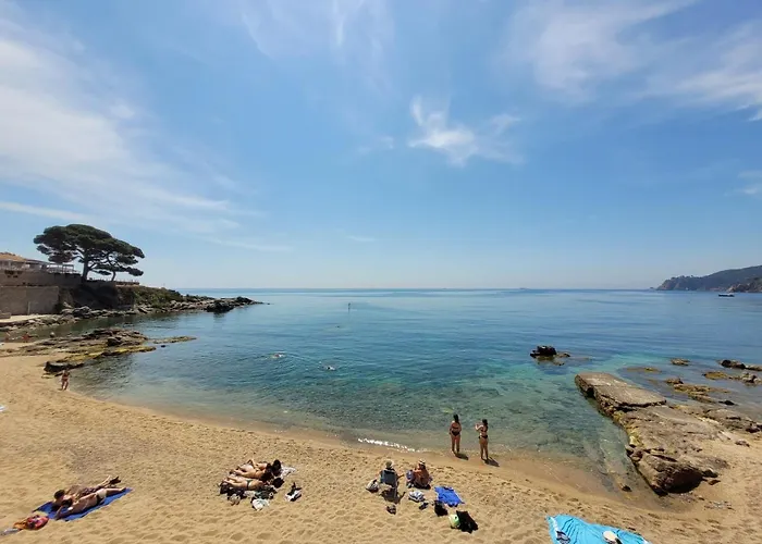 Playa Canadell Mar G Primera Linea De Mar Con Terraza - Wehost Costa Brava Lejlighed